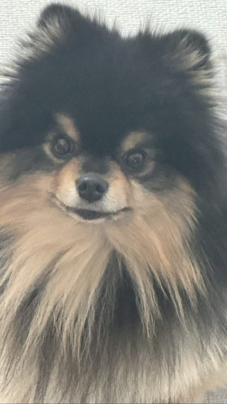 [잡담] 딸기머글거예요! 하고 라이브 끄자마자 | 인스티즈