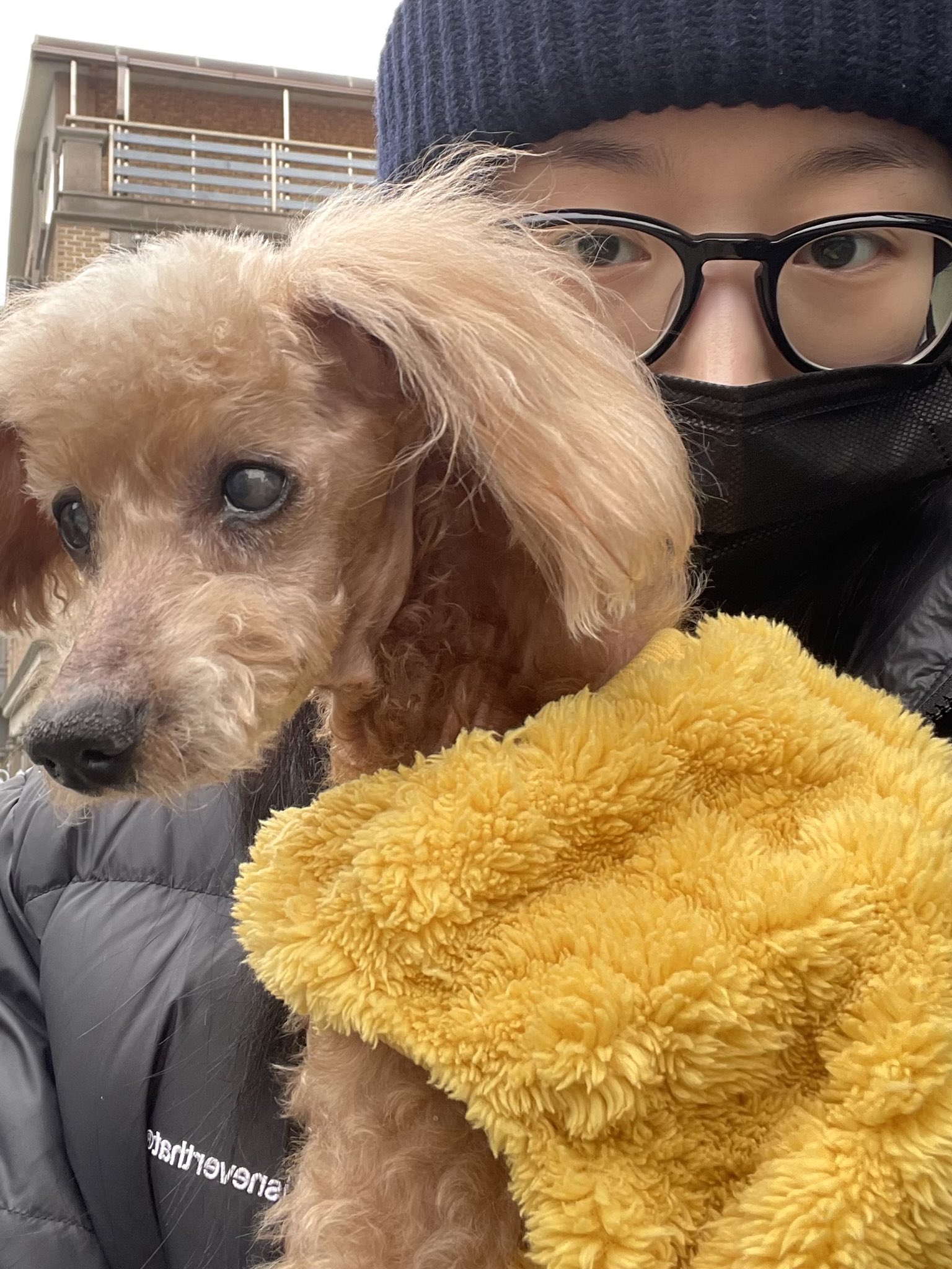 [잡담] 해원이랑 코코 | 인스티즈