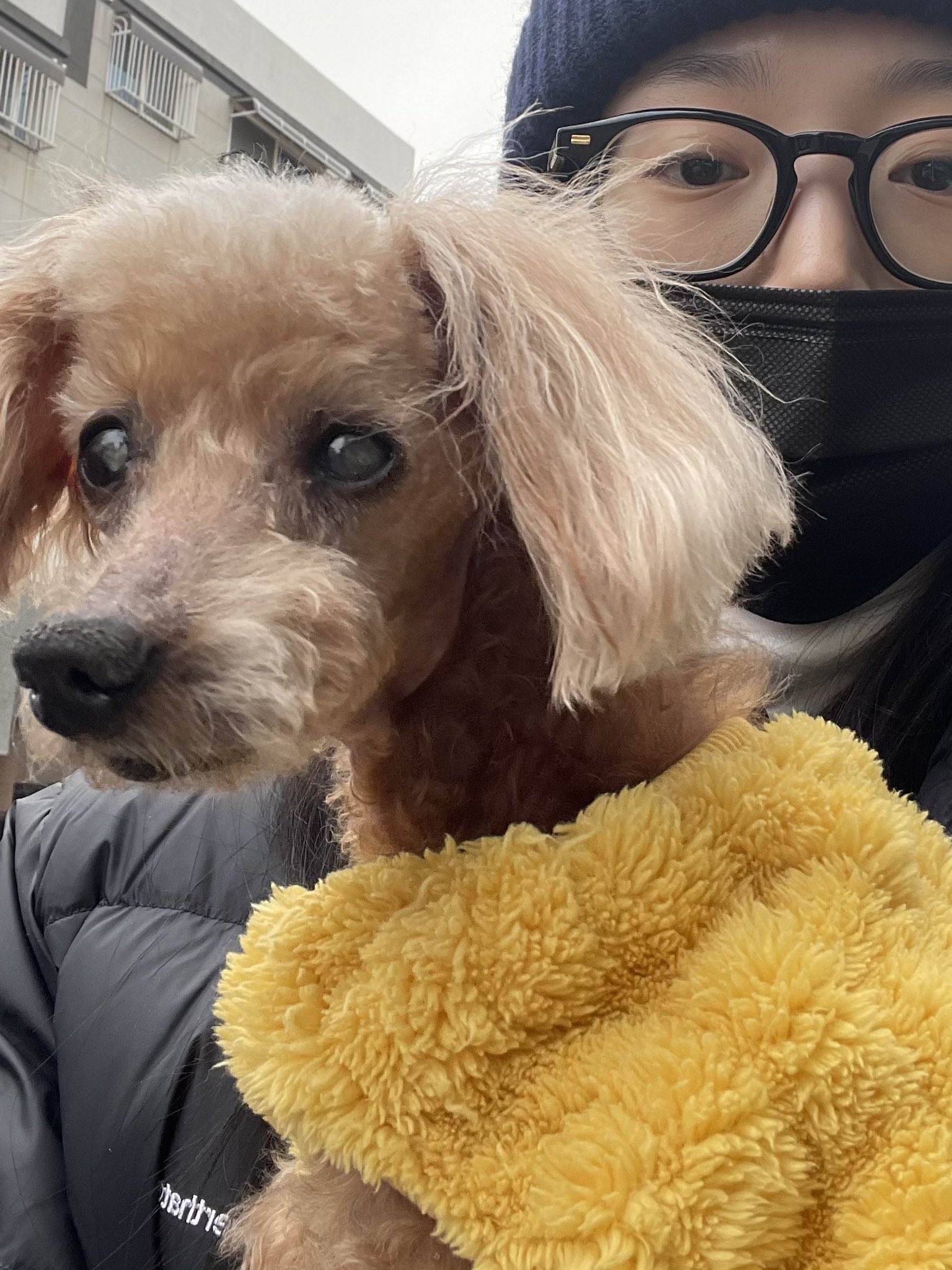 [잡담] 해원이랑 코코 | 인스티즈