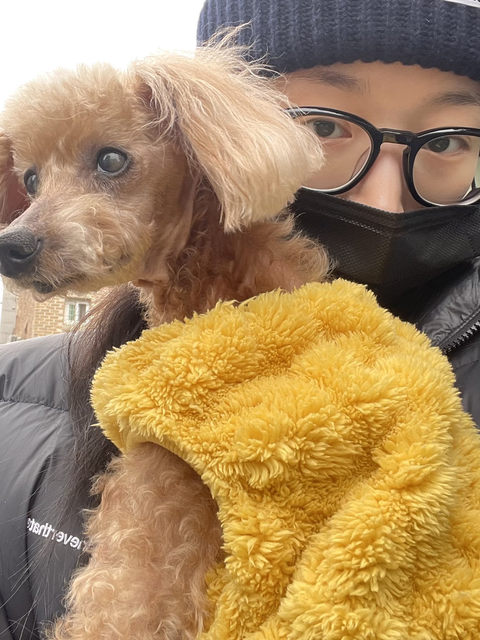 [잡담] 해원이랑 코코 | 인스티즈