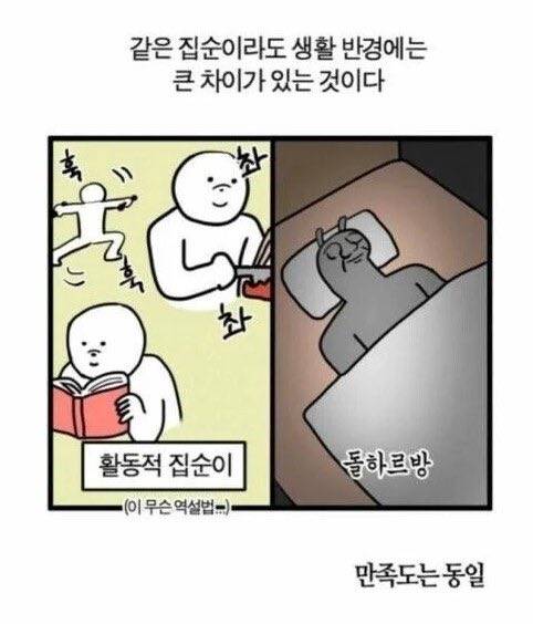 집순이들아 너네는 어느 쪽이야 | 인스티즈