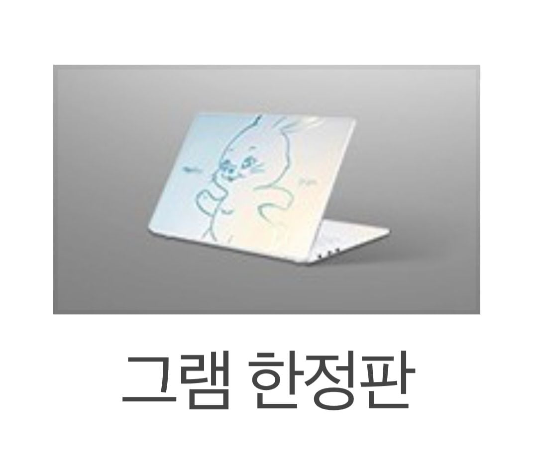 [잡담] 뉴진스 lg 그램 한정판 디자인 떴당 | 인스티즈