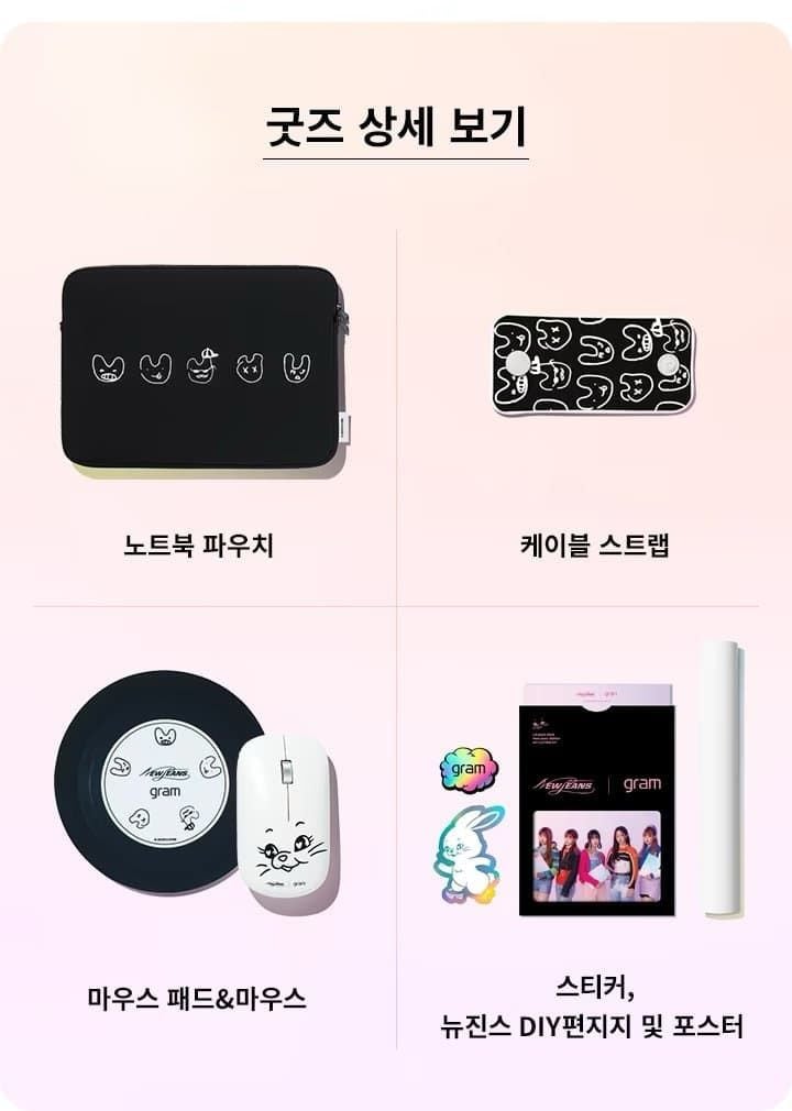 [잡담] 뉴진스 그램 마우스만 따로 안파나 | 인스티즈