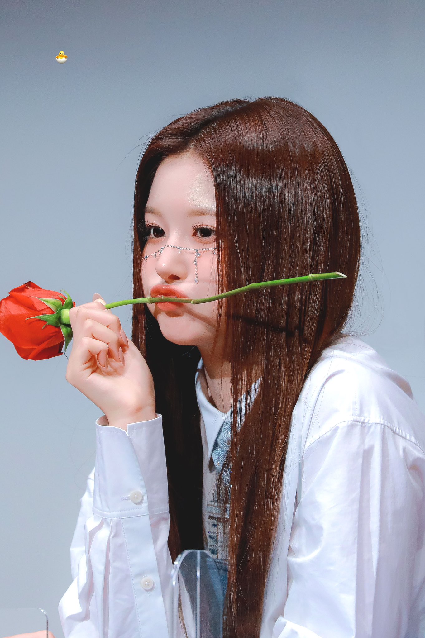 [잡담] 설윤아씨 생일축하하오 | 인스티즈