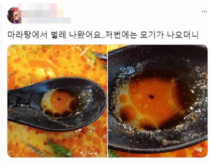 내가 마라탕을 절대 안 먹는 이유(ㅎㅇㅈㅇ) | 인스티즈