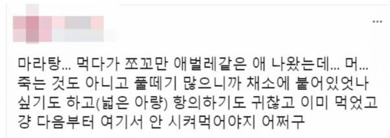 내가 마라탕을 절대 안 먹는 이유(ㅎㅇㅈㅇ) | 인스티즈