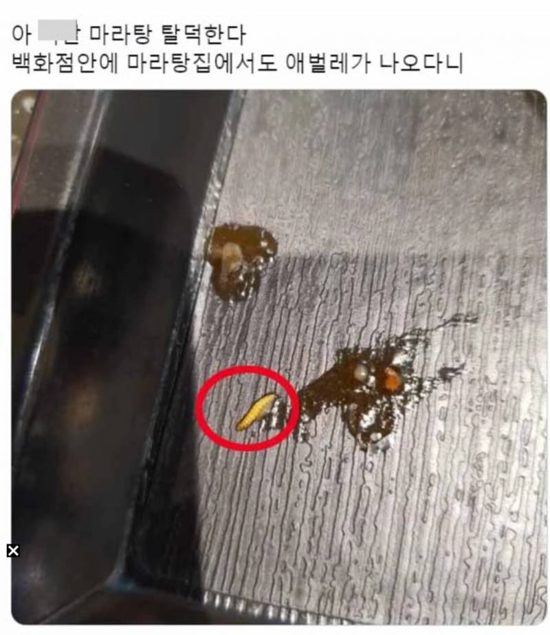 내가 마라탕을 절대 안 먹는 이유(ㅎㅇㅈㅇ) | 인스티즈
