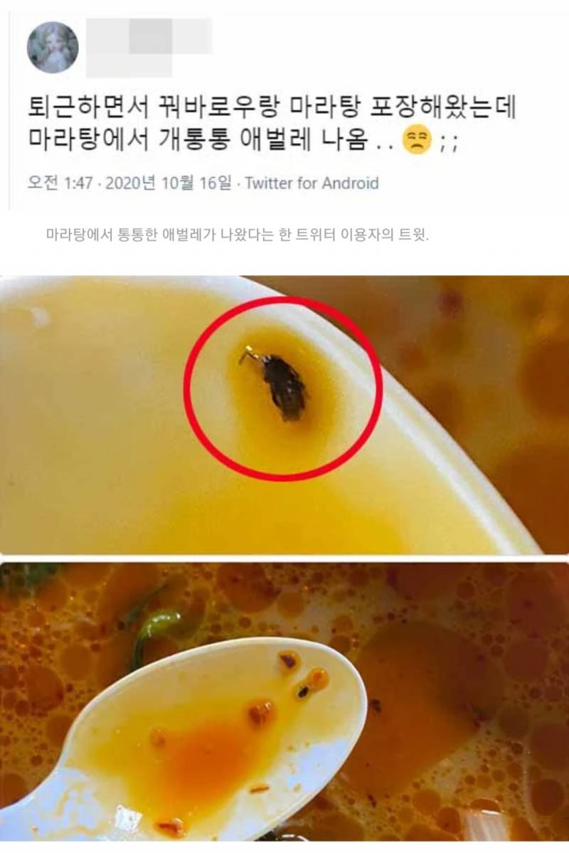 내가 마라탕을 절대 안 먹는 이유(ㅎㅇㅈㅇ) | 인스티즈