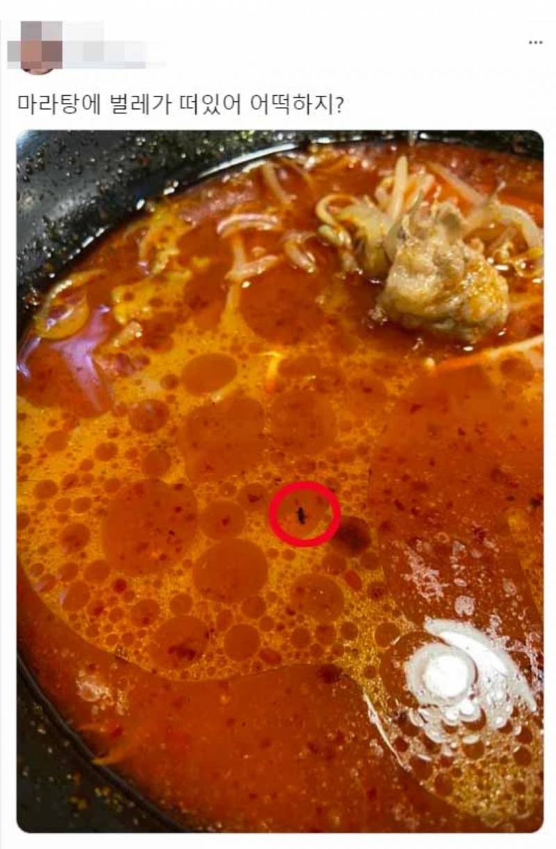 내가 마라탕을 절대 안 먹는 이유(ㅎㅇㅈㅇ) | 인스티즈