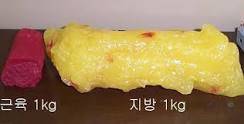 키 몇에 몸무게 몇 마른 거야? < 이 질문이 필요 없는 이유 | 인스티즈