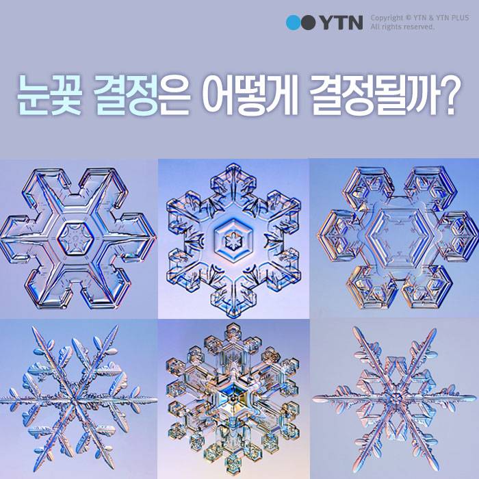 자연물(?)중에 생긴거 진짜 사기캐인거 | 인스티즈