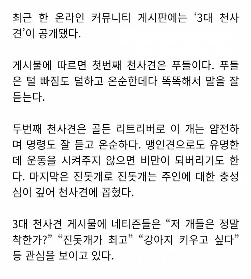 푸들이 천사견이라고 불릴 정도로 착해? | 인스티즈