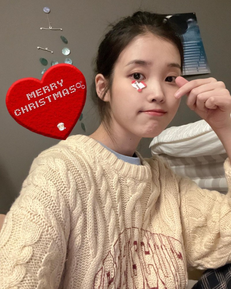 [잡담] 아이유는 토끼vs강아지 ?? | 인스티즈