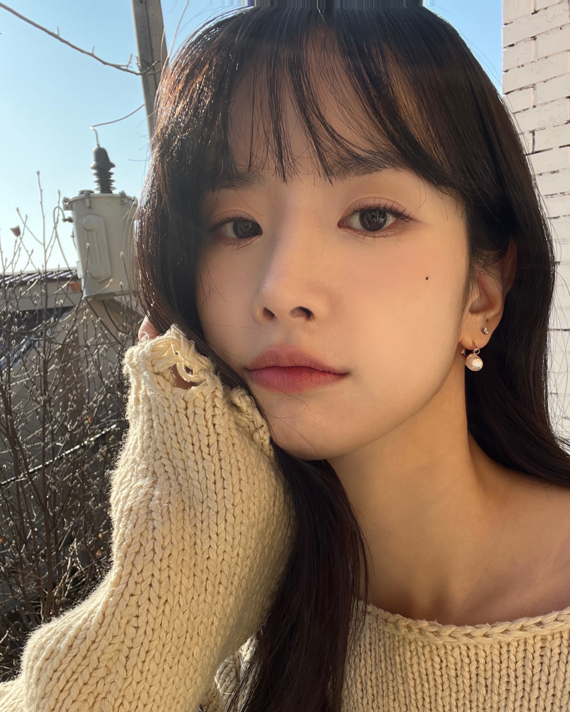 [잡담] 설아 언니 진짜 강아지같다 | 인스티즈