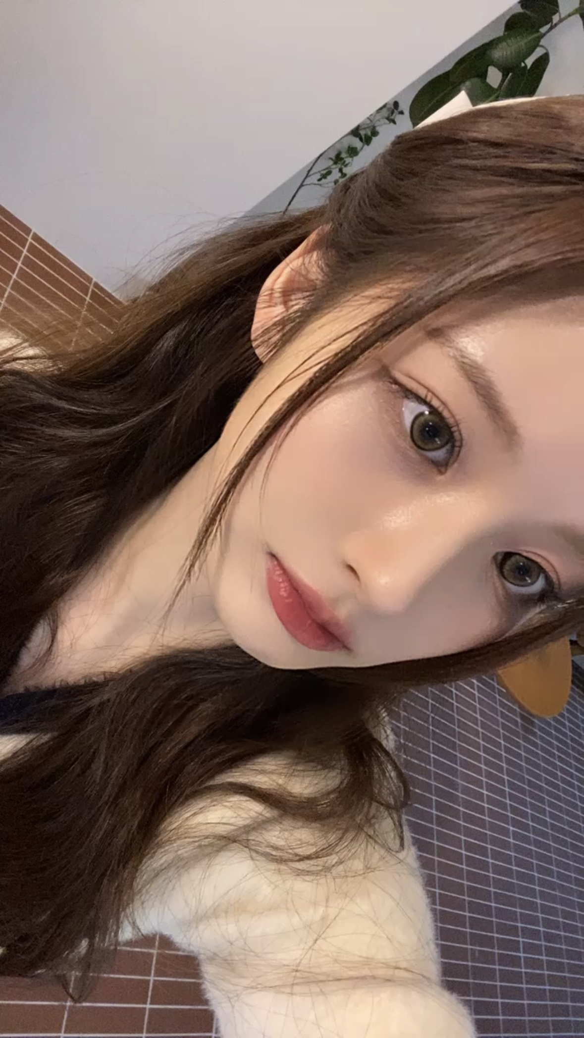 [잡담] 이런 얼굴로 살면 무슨 기분일까 | 인스티즈