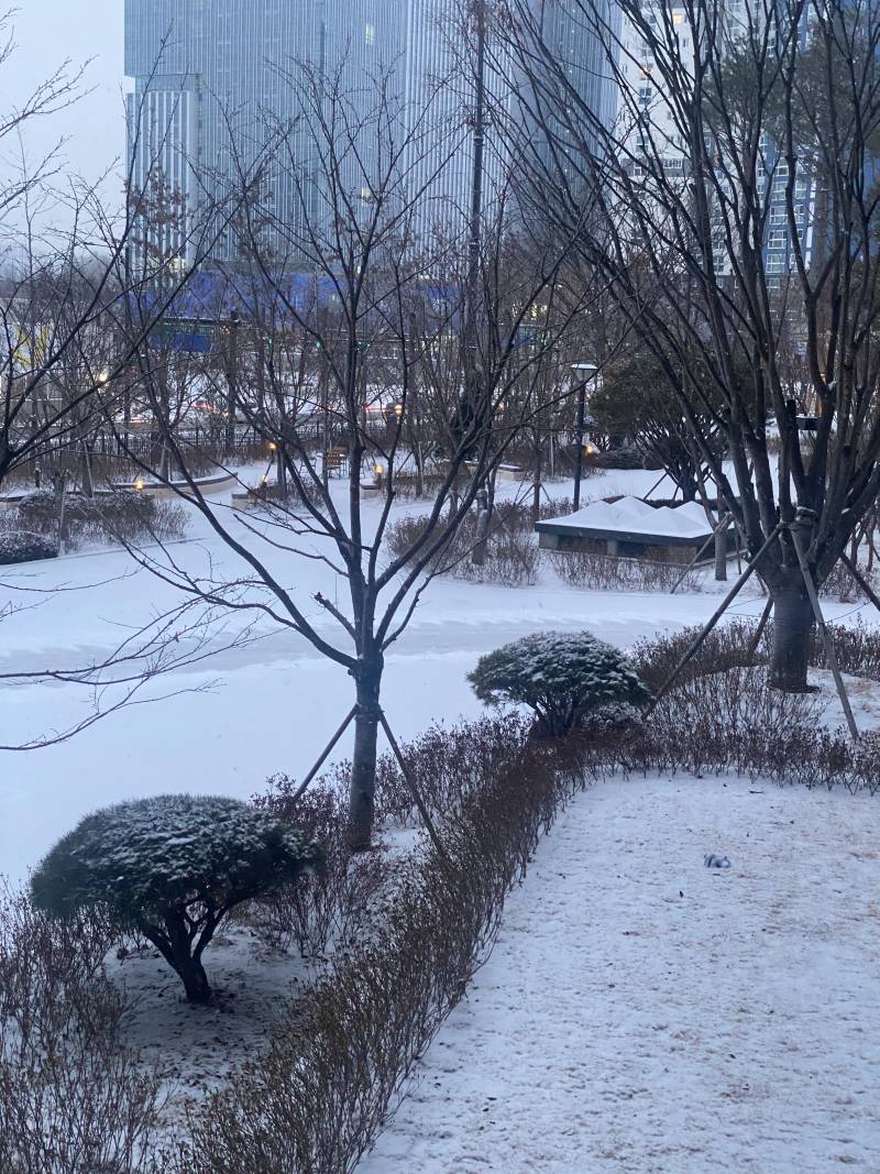 순간 빛번져서? 눈오는 사진 잘못찍혔는데 훨씬 예뻐 | 인스티즈