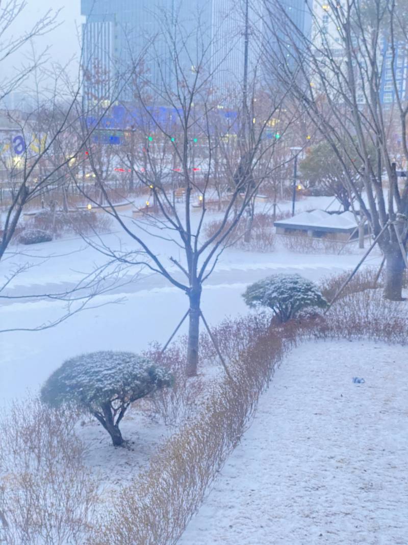 순간 빛번져서? 눈오는 사진 잘못찍혔는데 훨씬 예뻐 | 인스티즈