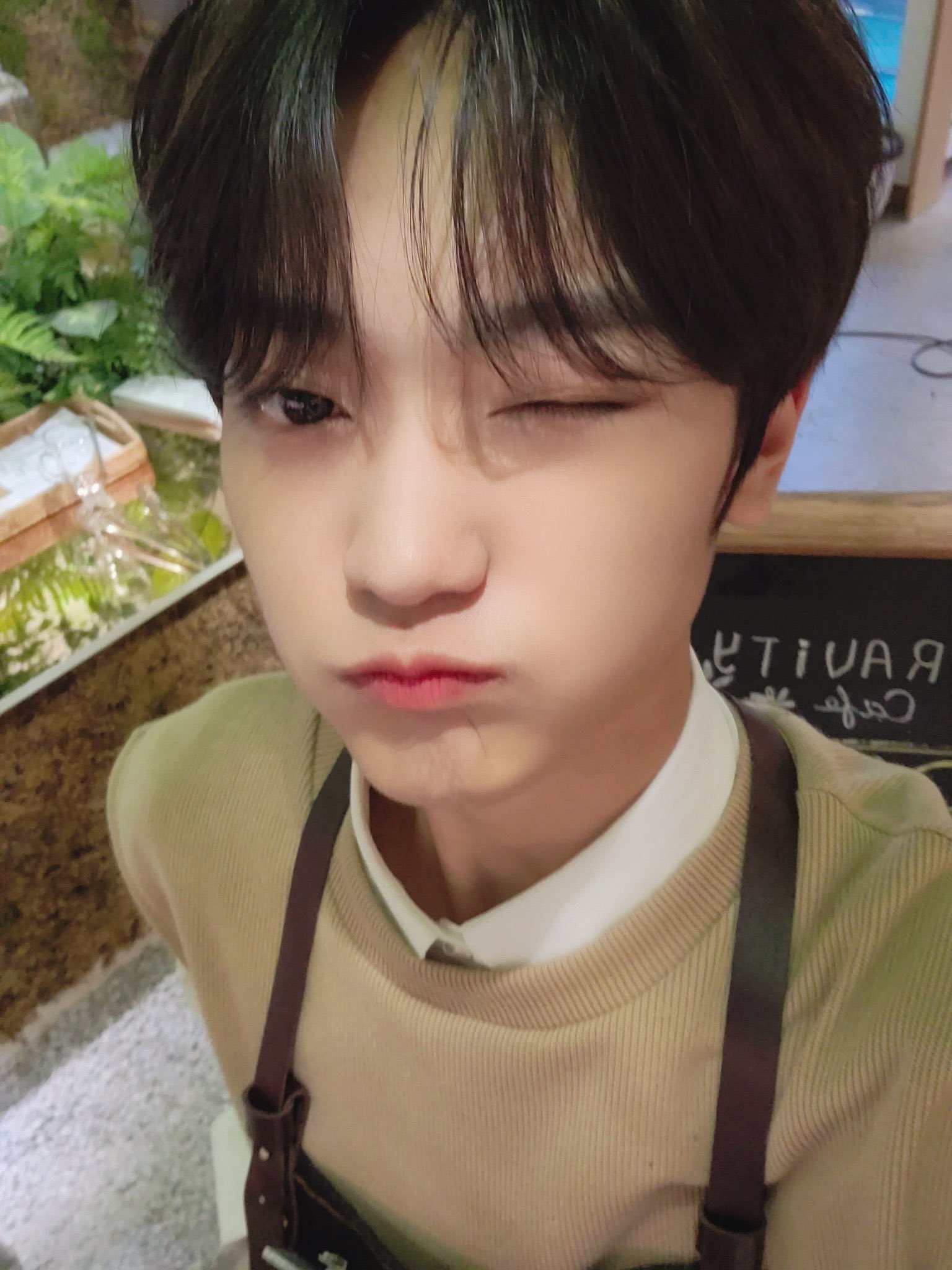 [잡담] 우리 아기고앵이 생일!!!!!!🐱 | 인스티즈