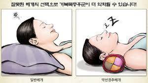 거북목들아 다들 이런 베개 써??? | 인스티즈
