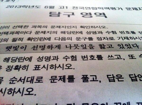 햇빛이 선명하게 나뭇잎을 핥고있었다 아는사람 | 인스티즈