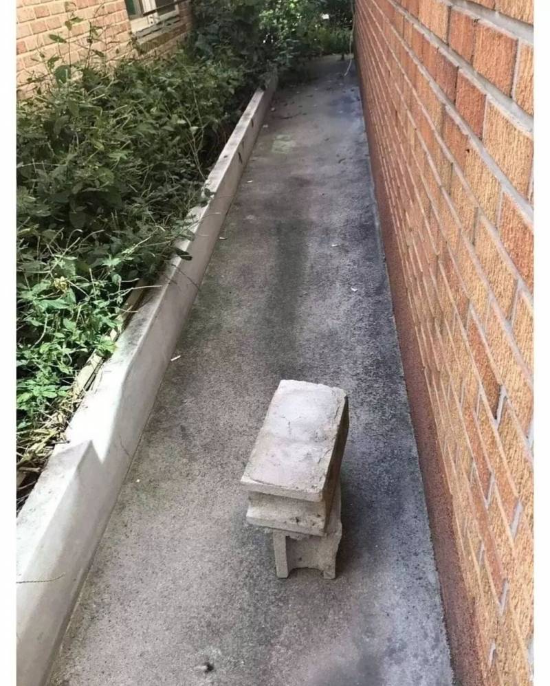 내가 저층에서 못사는 이유 📌사진 놀람주의 | 인스티즈