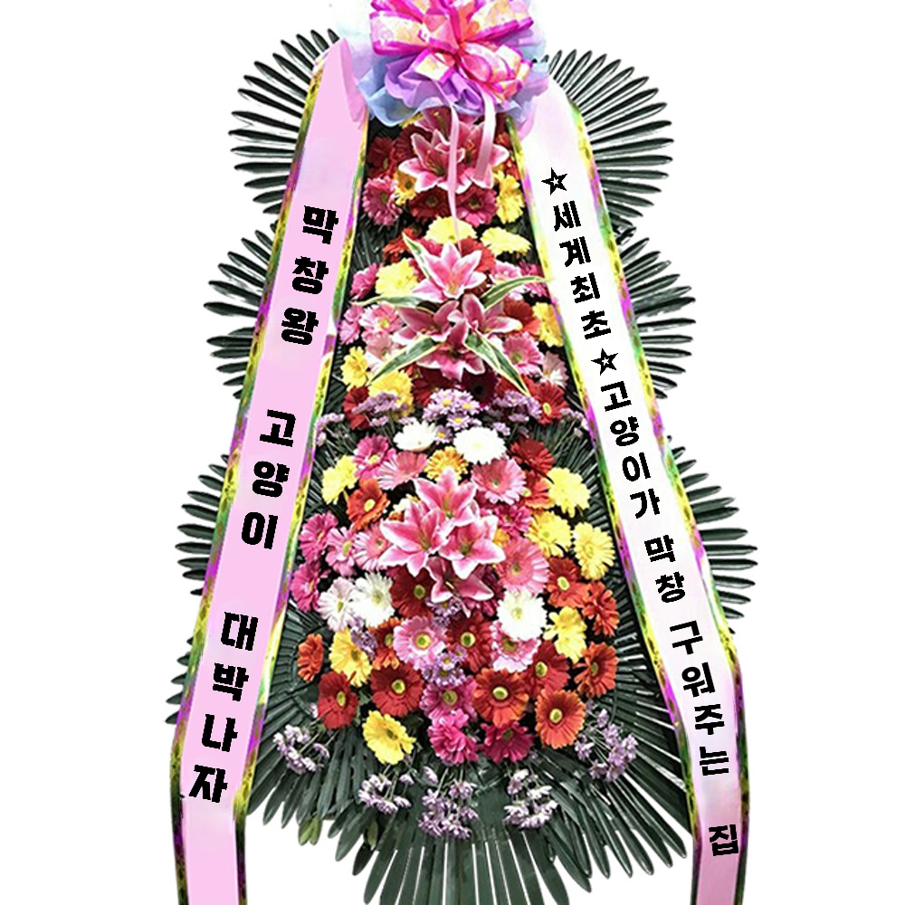 [잡담] 아니 방탄팬들 슈가 막창집에 진짜 진심이였나봐 | 인스티즈