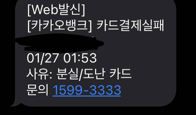 분실카드 누가 결제 시도 했는데 이거 신고 어떻게 해? | 인스티즈