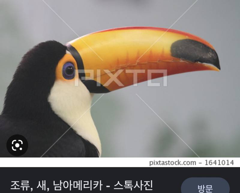 익명이니까 말하는건데 솔직히 나 진짜 남미. 새임.... | 인스티즈