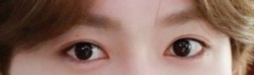 [잡담] 와이지덕들아 눈만보고누군지맞혀봐 | 인스티즈