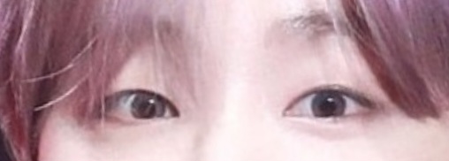 [잡담] 와이지덕들아 눈만보고누군지맞혀봐 | 인스티즈