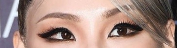 [잡담] 와이지덕들아 눈만보고누군지맞혀봐 | 인스티즈