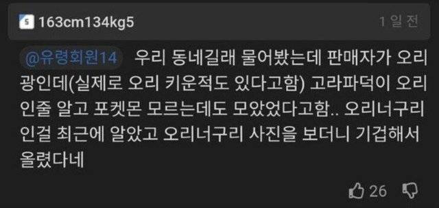 당근에 고라파덕 90마리가 올라온 이유.. | 인스티즈