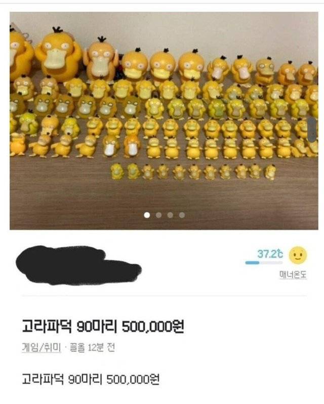 당근에 고라파덕 90마리가 올라온 이유.. | 인스티즈