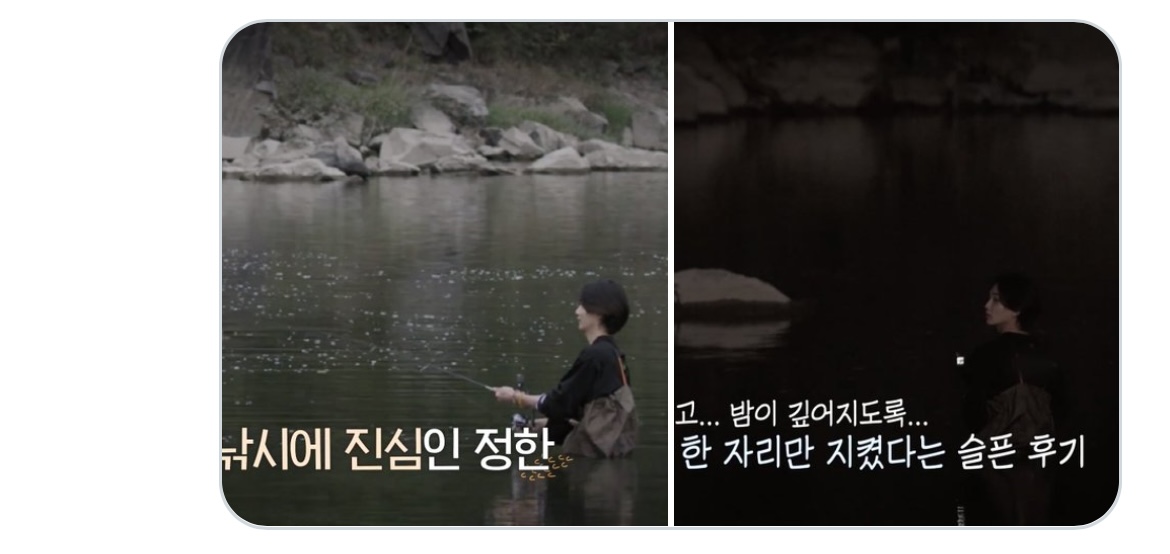[잡담] 이거 그거같아 본인이 안전하다고 생각하면 무모해지는(세븐틴 정한 | 인스티즈