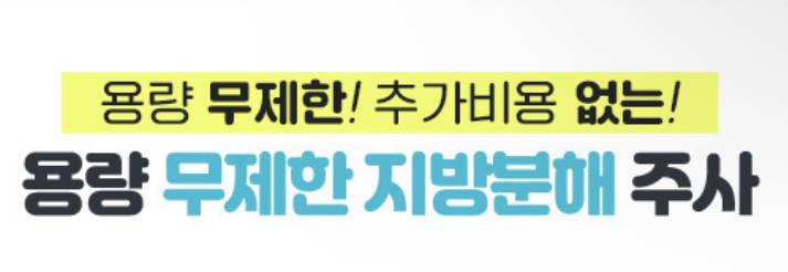 이런 지방분해주사 효과있어?? | 인스티즈