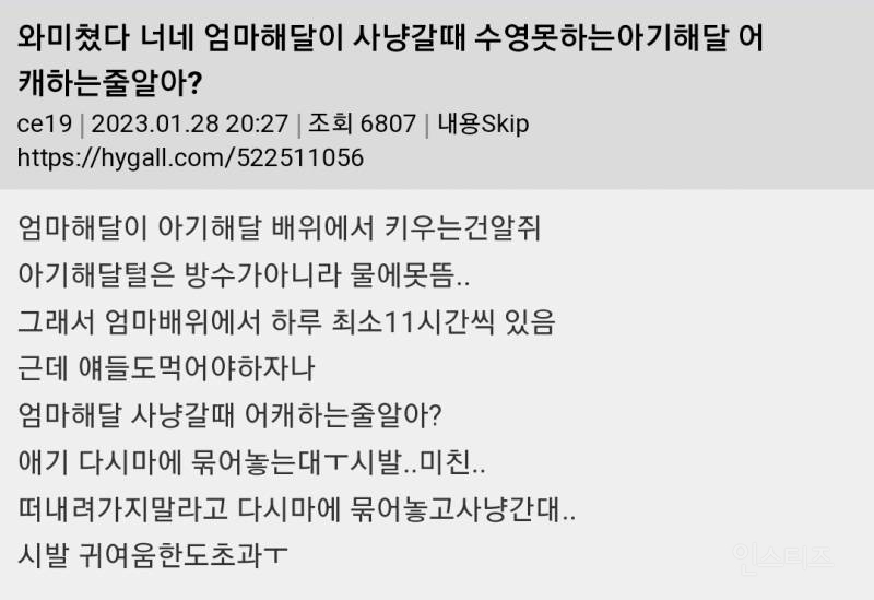 와미쳤다 엄마 해달이 사냥 갈 때 수영 못하는 아기 해달 어떻게 하는 줄 알아? | 인스티즈