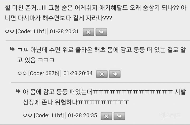 와미쳤다 엄마 해달이 사냥 갈 때 수영 못하는 아기 해달 어떻게 하는 줄 알아? | 인스티즈