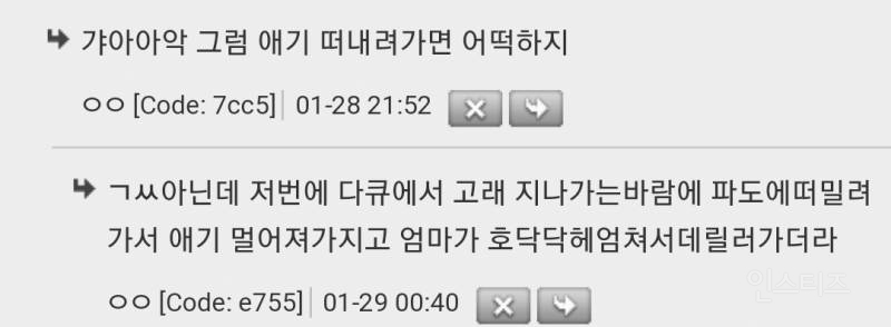 와미쳤다 엄마 해달이 사냥 갈 때 수영 못하는 아기 해달 어떻게 하는 줄 알아? | 인스티즈
