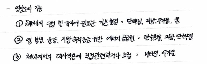 내 글씨체 가독성 별로지... | 인스티즈