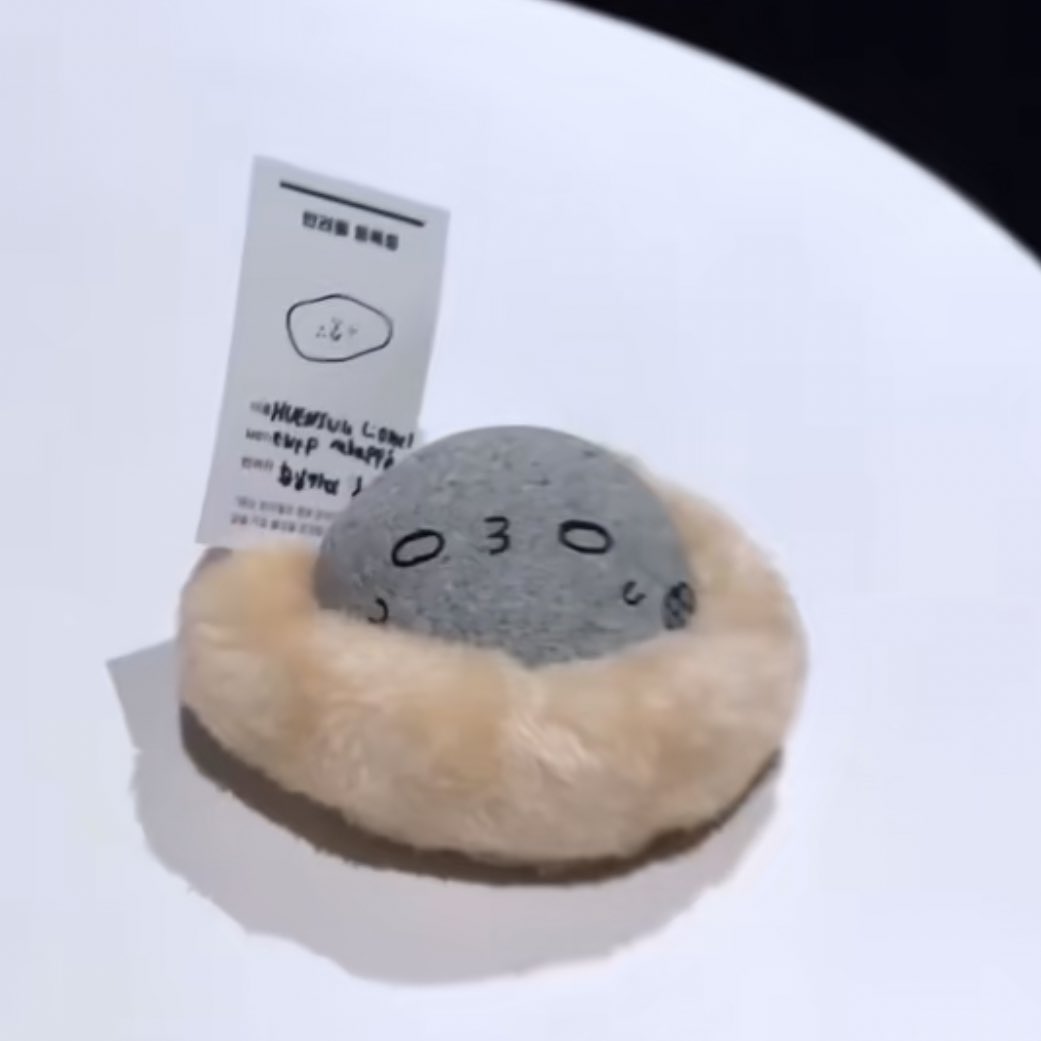 [잡담] 덕질하면서 본진 애완돌 보는것도 처음인데 | 인스티즈