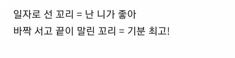 집에서 홈트 못하는 사람 | 인스티즈