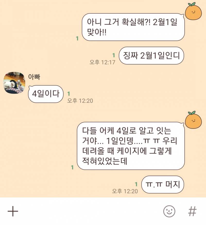 우리 집 강아지 생일로 싸움남 ㅋㅋㅋㅋㅋㅋㅋㅋㅋㅋㅋ | 인스티즈