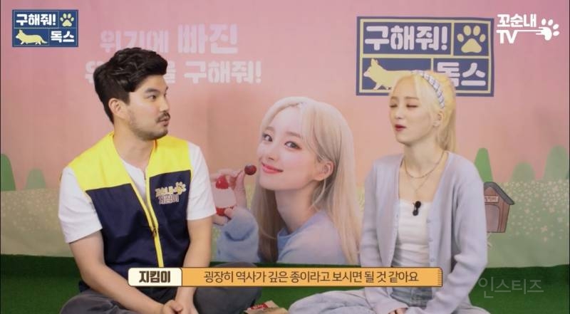 여름 휴가 가서 휴양지에 반려견 버리고 오는 사람들 | 인스티즈