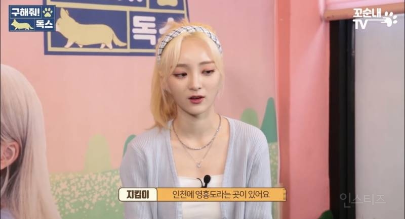 여름 휴가 가서 휴양지에 반려견 버리고 오는 사람들 | 인스티즈