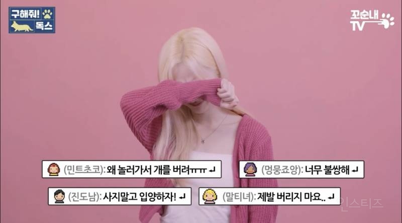 유기견이 식당에 들어와도 신경 안 쓰는 문화를 보고 배워야 하는 이유 | 인스티즈