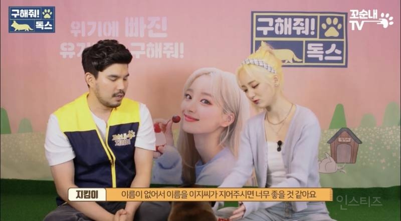 여름 휴가 가서 휴양지에 반려견 버리고 오는 사람들 | 인스티즈