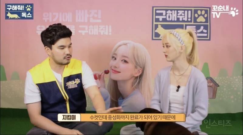 여름 휴가 가서 휴양지에 반려견 버리고 오는 사람들 | 인스티즈
