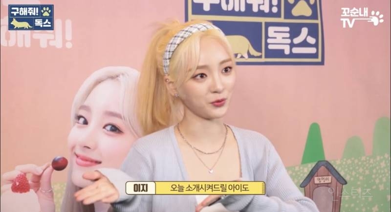 유기견이 식당에 들어와도 신경 안 쓰는 문화를 보고 배워야 하는 이유 | 인스티즈