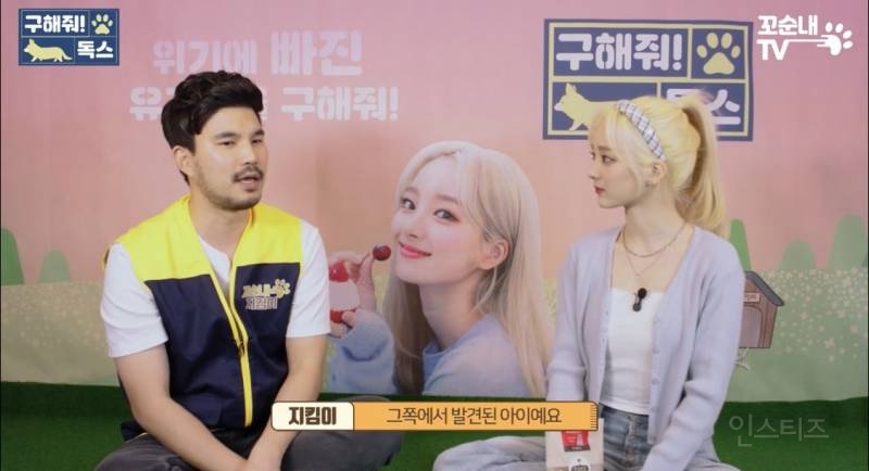 여름 휴가 가서 휴양지에 반려견 버리고 오는 사람들 | 인스티즈