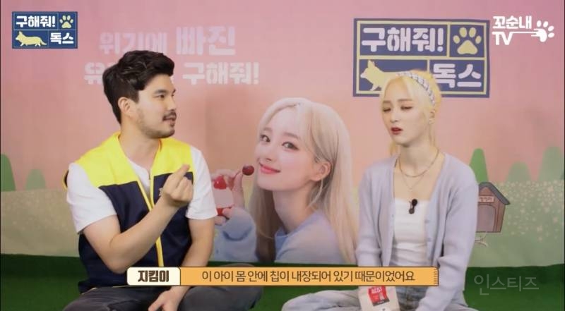 여름 휴가 가서 휴양지에 반려견 버리고 오는 사람들 | 인스티즈
